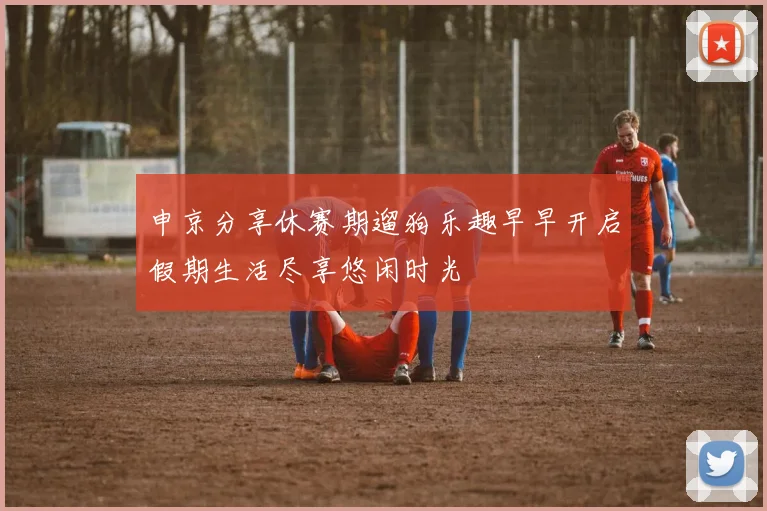 申京分享休赛期遛狗乐趣早早开启假期生活尽享悠闲时光
